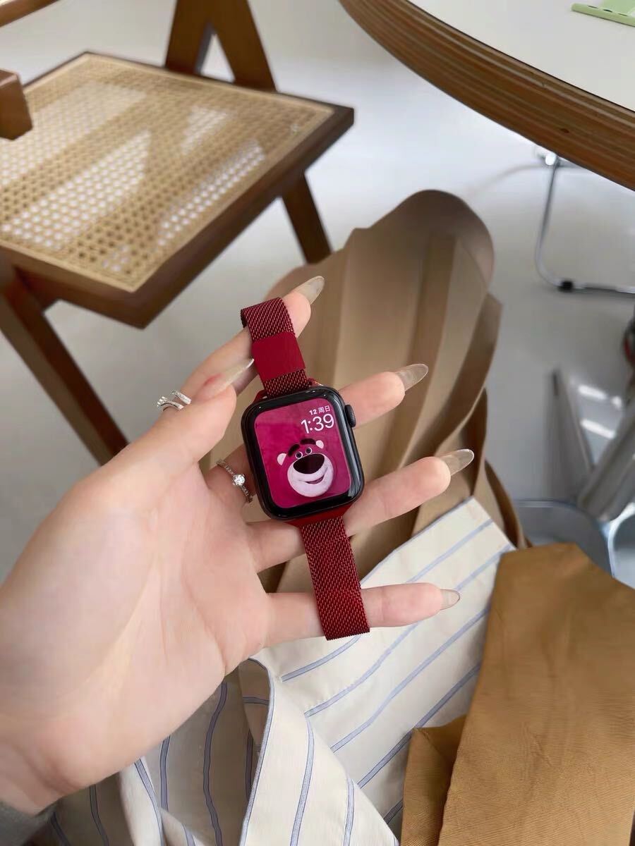 Colourful Skinny Magnet Apple Watch Band カラフルマグネットバンド R01200