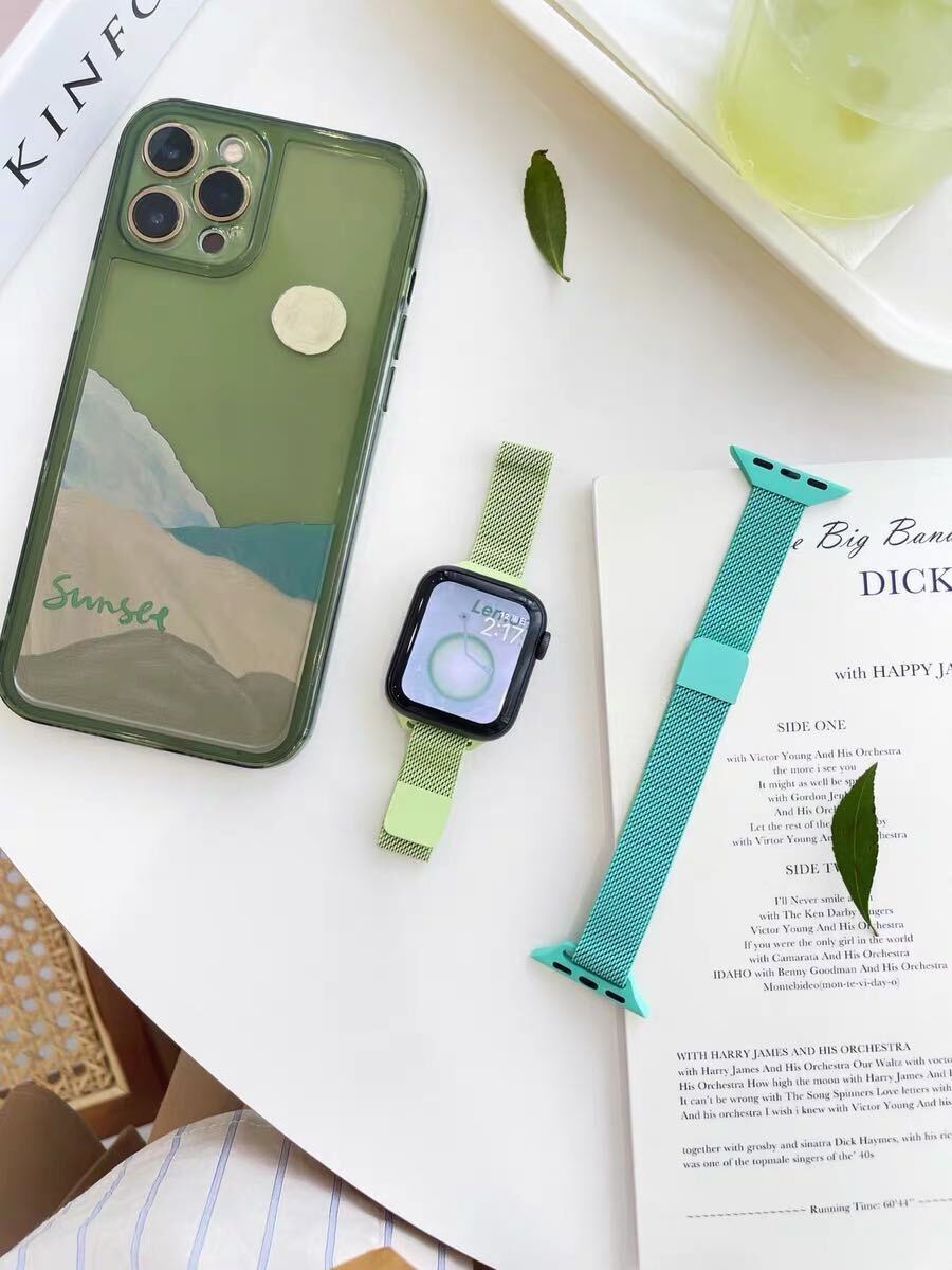 Colourful Skinny Magnet Apple Watch Band カラフルマグネットバンド R01200