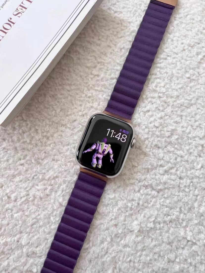 Simple Magnet Apple Watch Band R01171