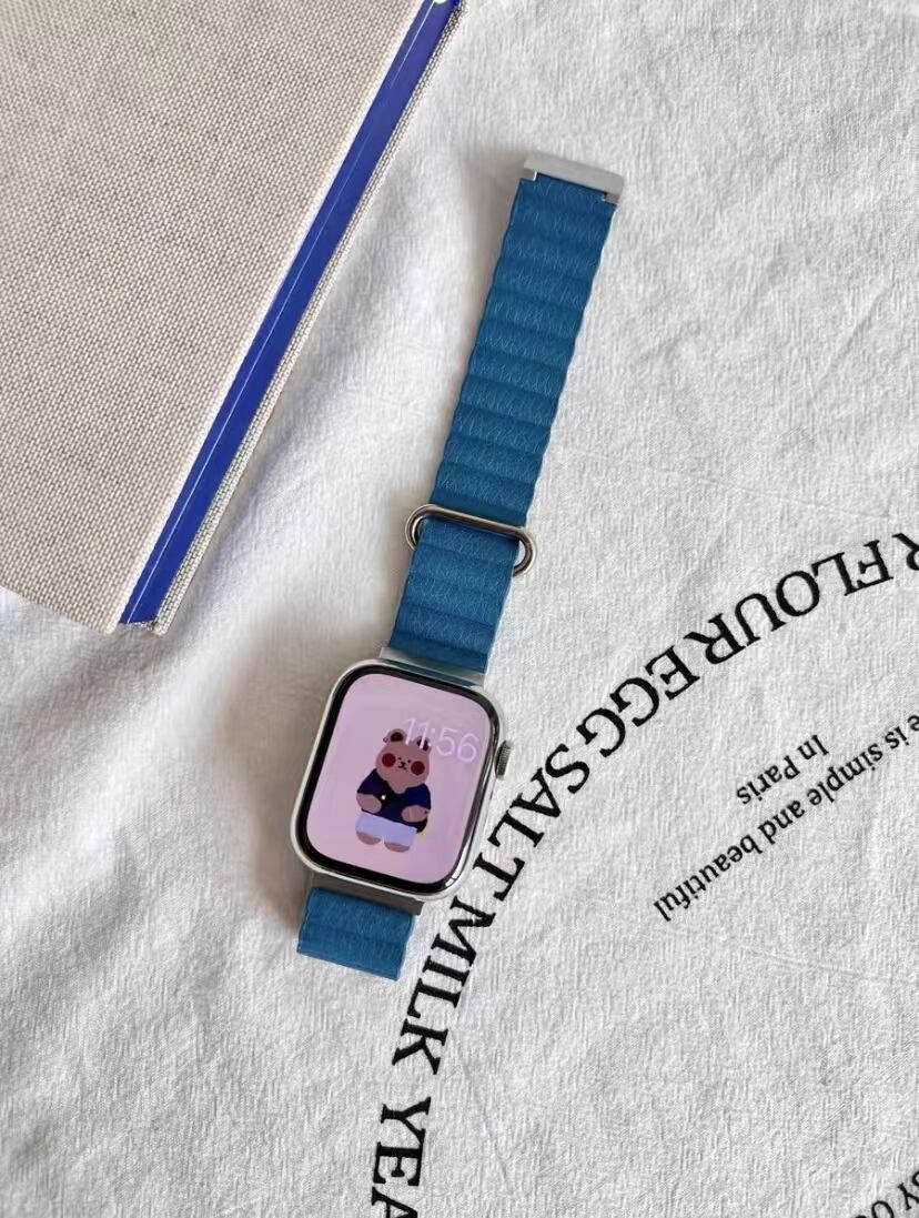 Simple Magnet Apple Watch Band R01171